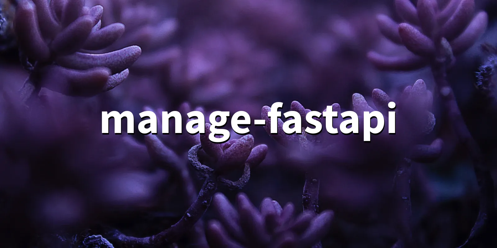 /pkg/m/manage-fastapi/manage-fastapi-banner.webp