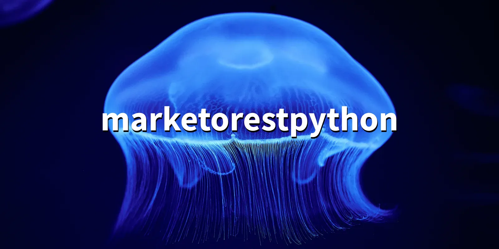 /pkg/m/marketorestpython/marketorestpython-banner.webp