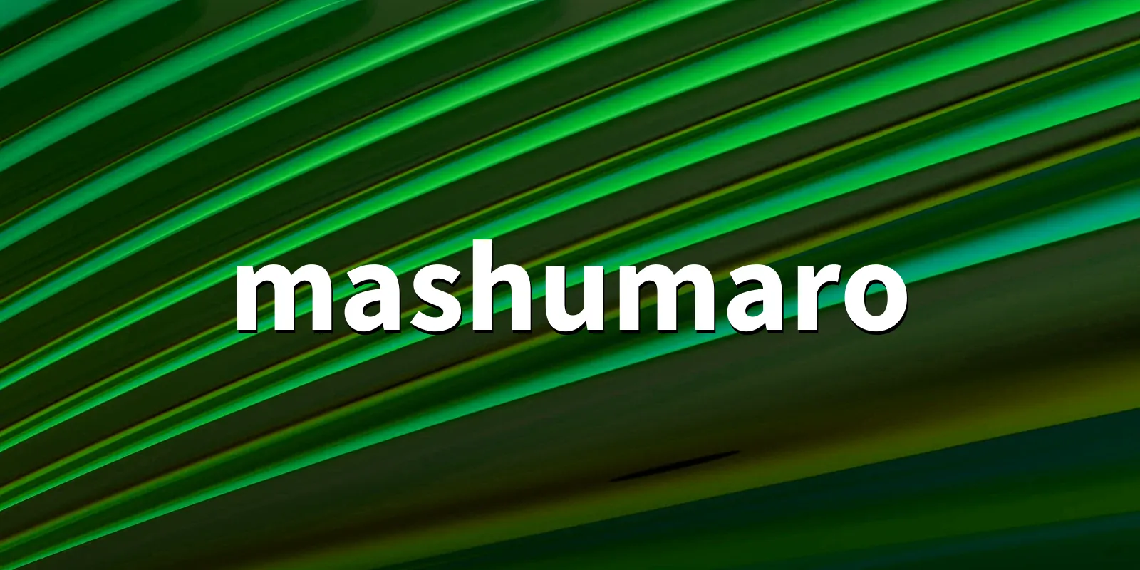 /pkg/m/mashumaro/mashumaro-banner.webp