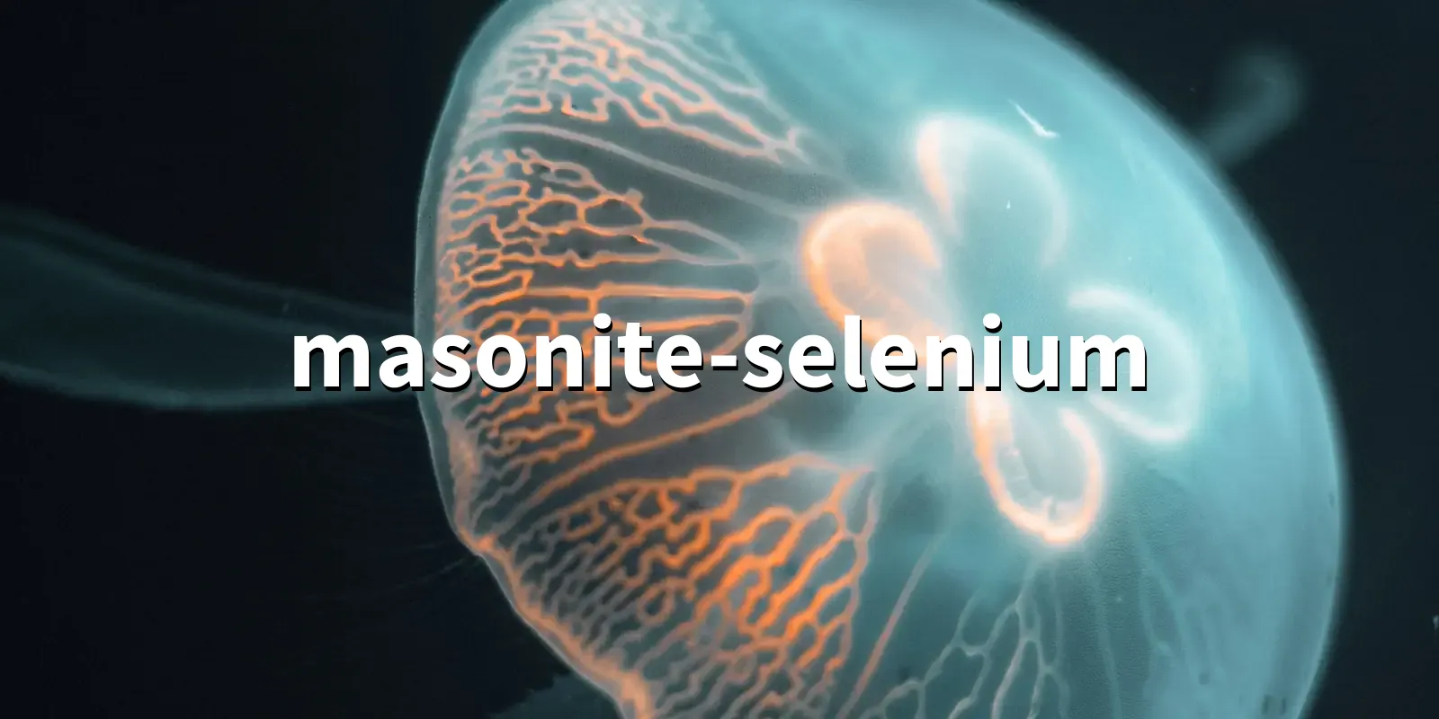 /pkg/m/masonite-selenium/masonite-selenium-banner.webp