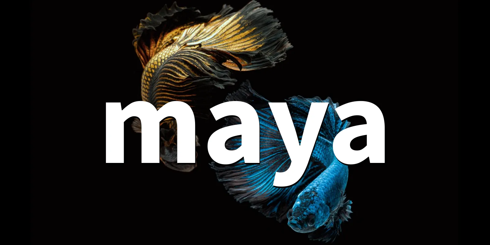/pkg/m/maya/maya-banner.webp