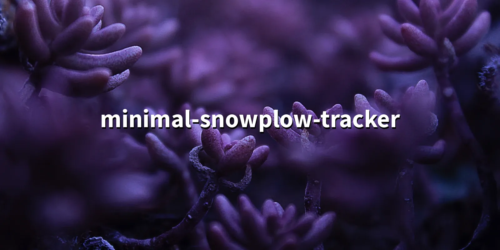 /pkg/m/minimal-snowplow-tracker/minimal-snowplow-tracker-banner.webp