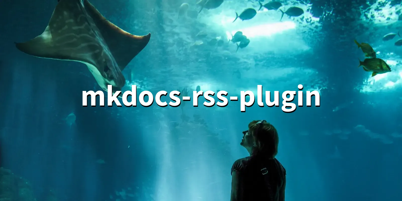 /pkg/m/mkdocs-rss-plugin/mkdocs-rss-plugin-banner.webp