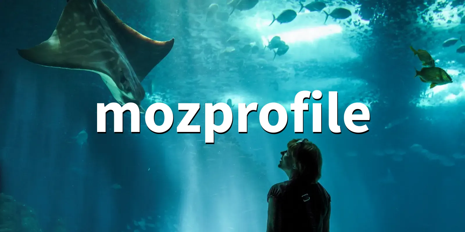 /pkg/m/mozprofile/mozprofile-banner.webp