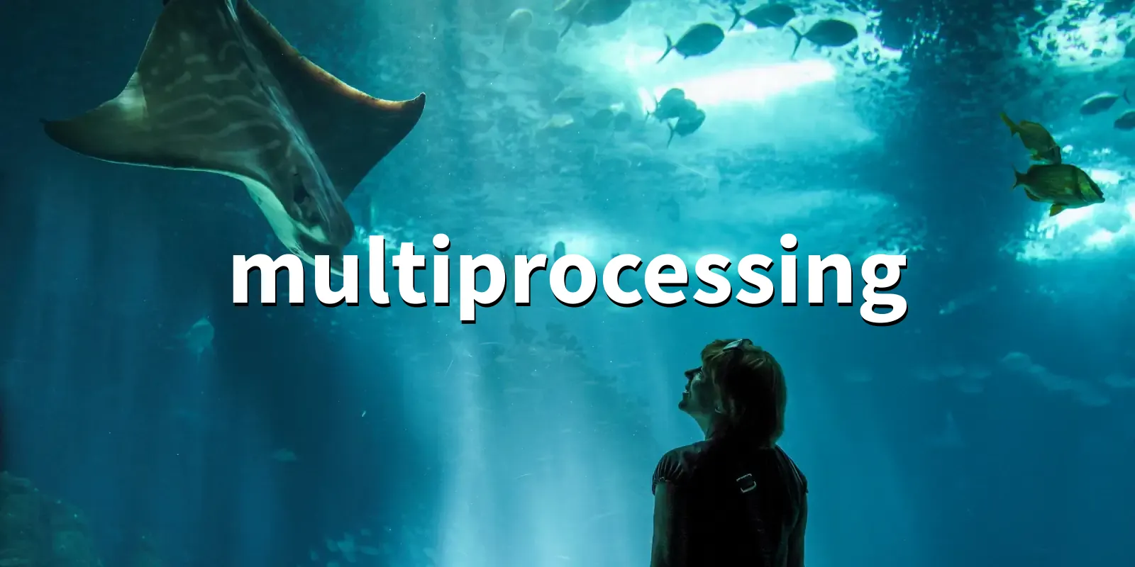 /pkg/m/multiprocessing/multiprocessing-banner.webp