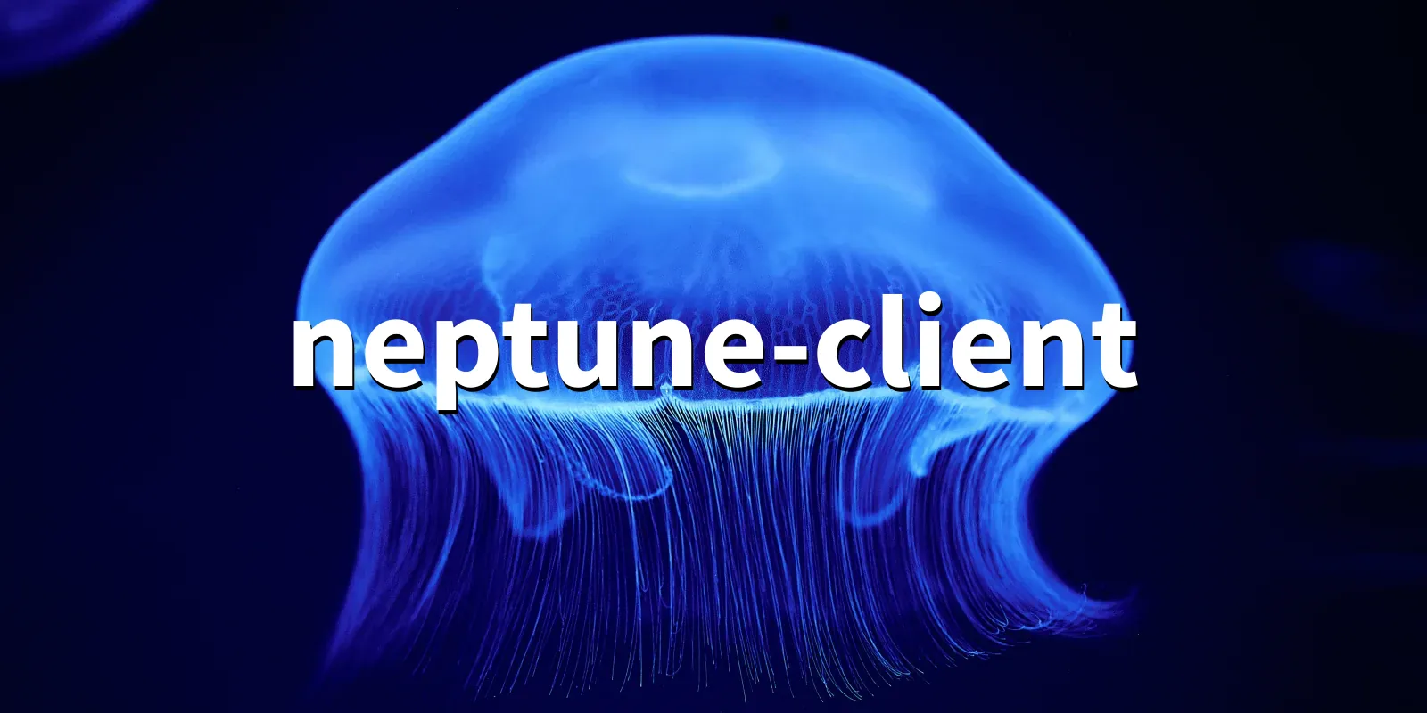 /pkg/n/neptune-client/neptune-client-banner.webp
