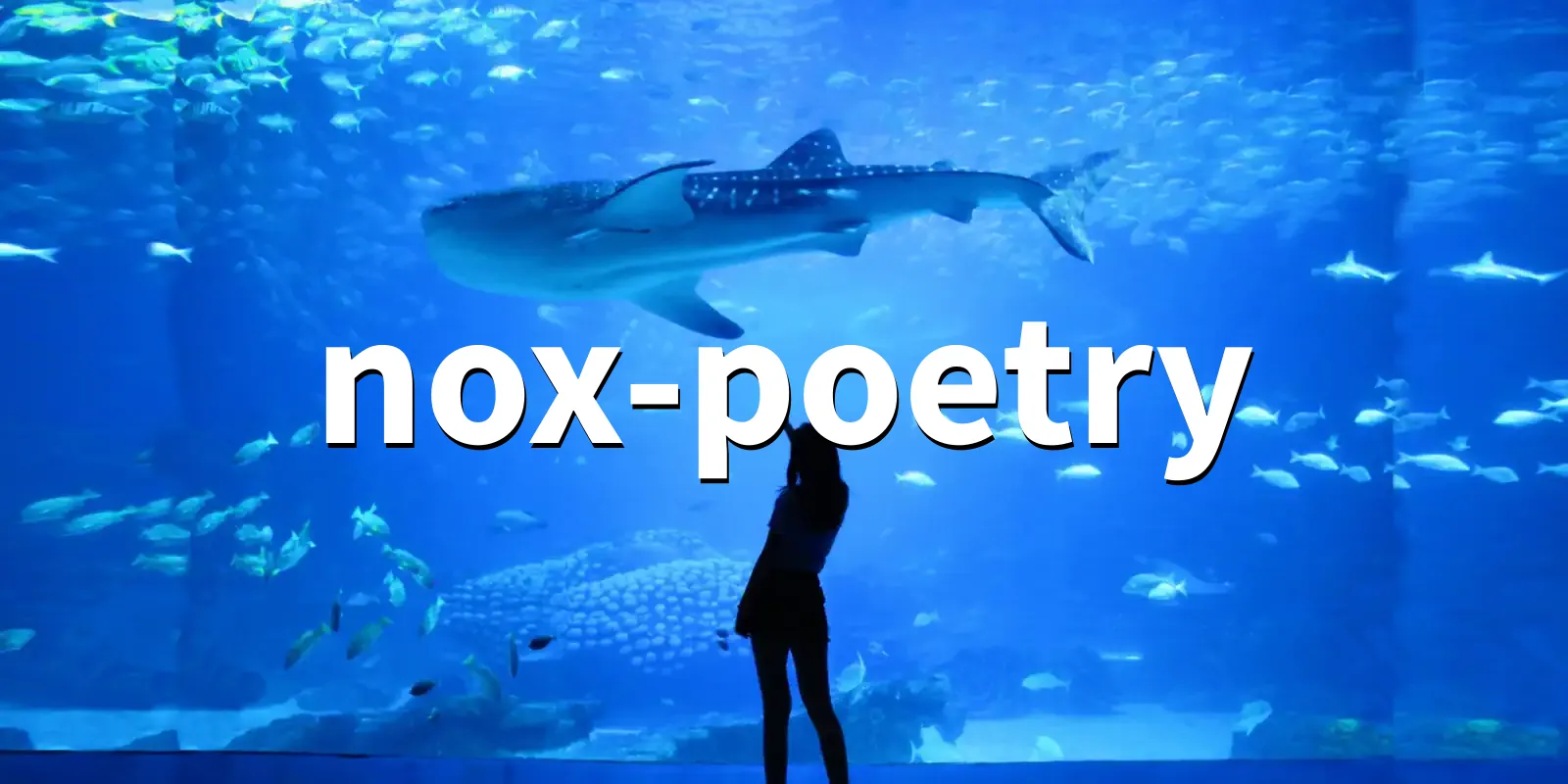/pkg/n/nox-poetry/nox-poetry-banner.webp