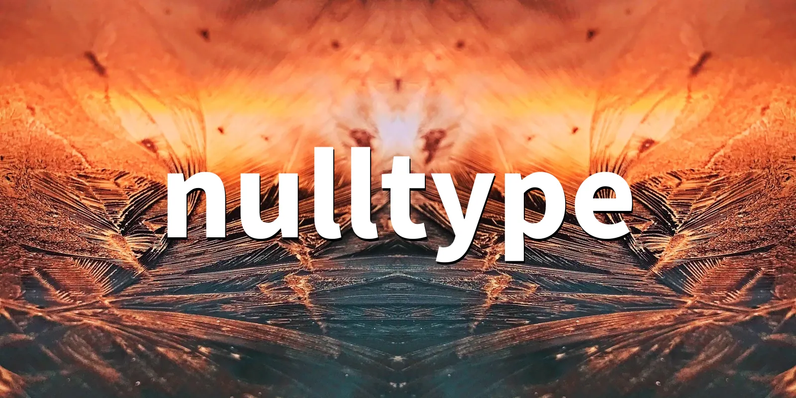 /pkg/n/nulltype/nulltype-banner.webp