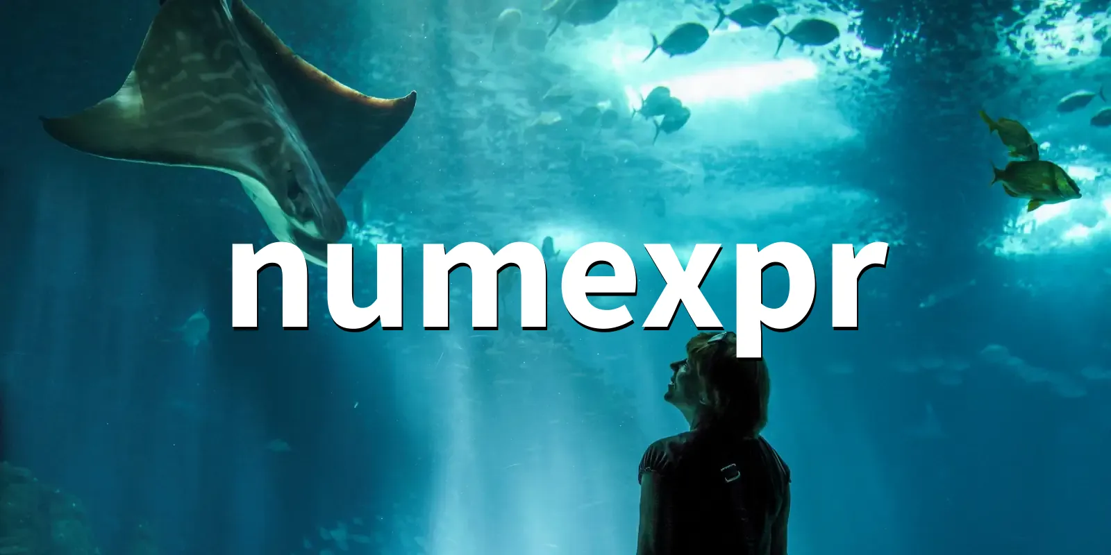 /pkg/n/numexpr/numexpr-banner.webp