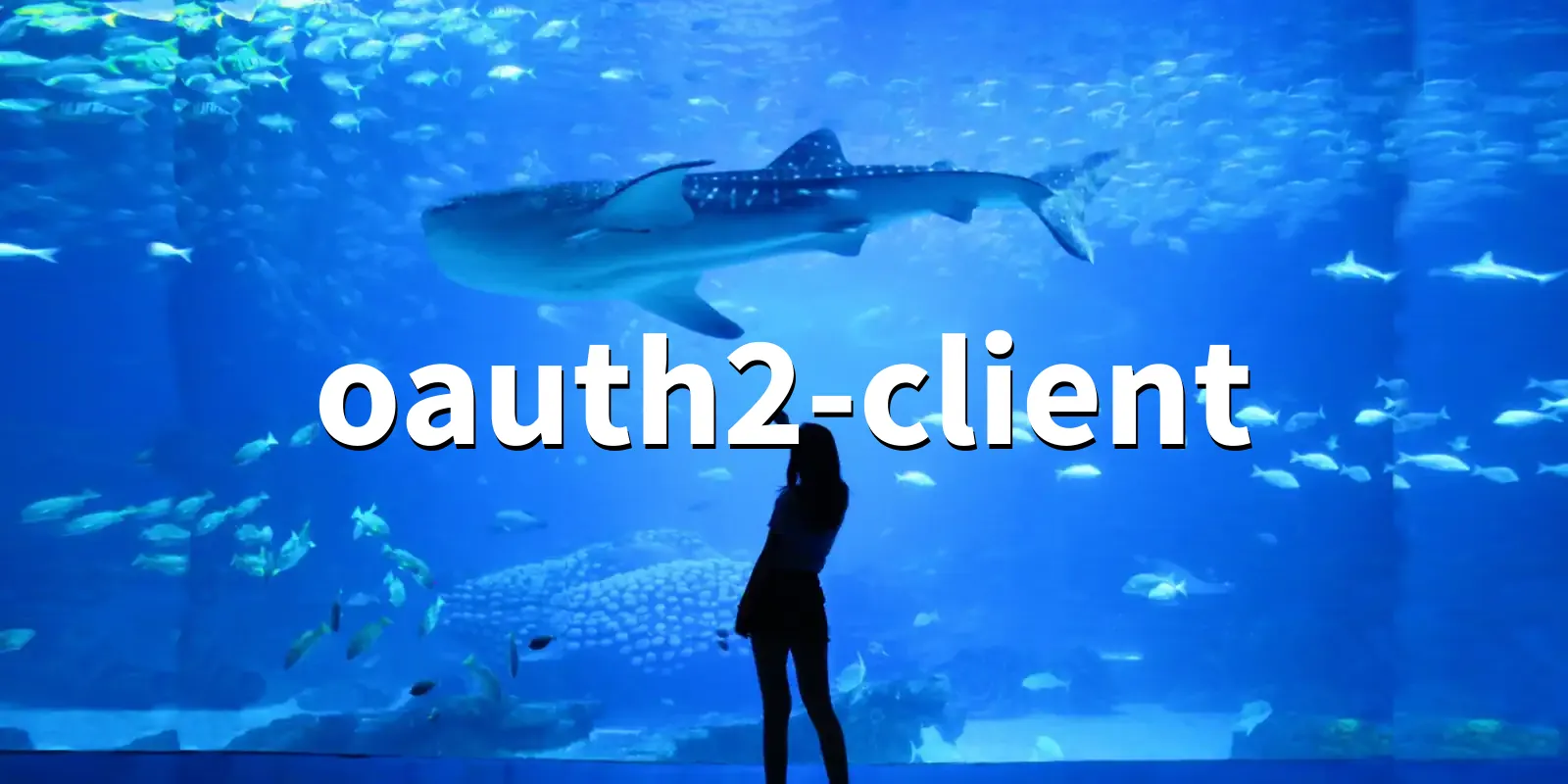 /pkg/o/oauth2-client/oauth2-client-banner.webp