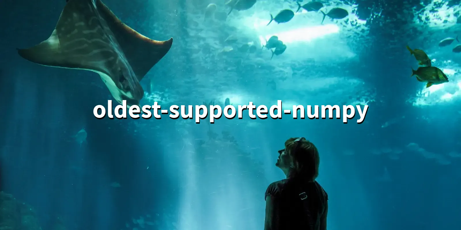 /pkg/o/oldest-supported-numpy/oldest-supported-numpy-banner.webp