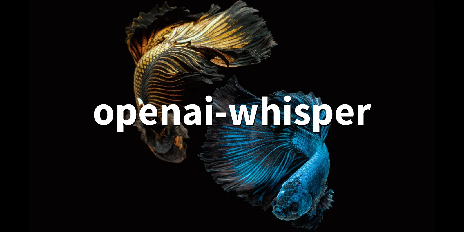 /pkg/o/openai-whisper/openai-whisper-banner.webp