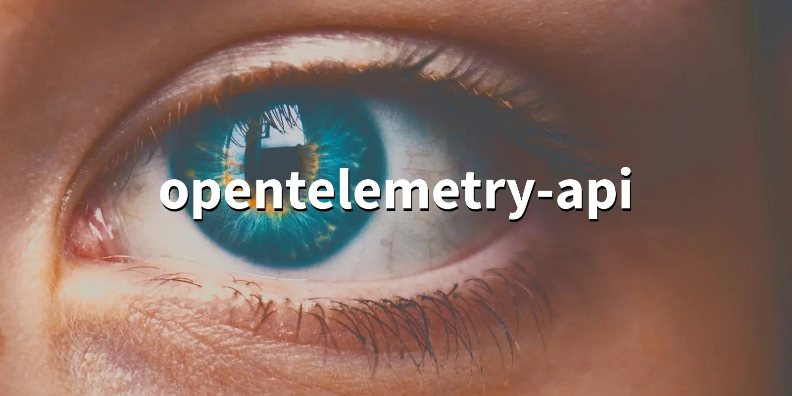 /pkg/o/opentelemetry-api/opentelemetry-api-banner.webp