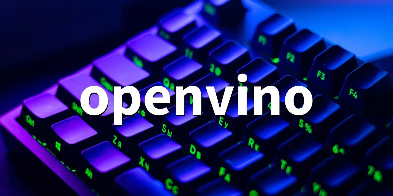 /pkg/o/openvino/openvino-banner.webp
