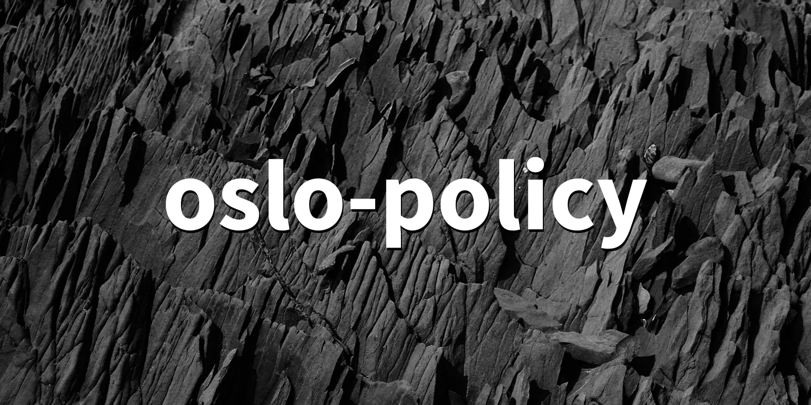 /pkg/o/oslo-policy/oslo-policy-banner.webp