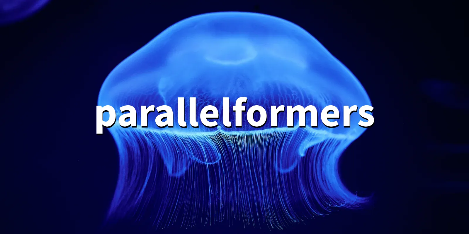 /pkg/p/parallelformers/parallelformers-banner.webp