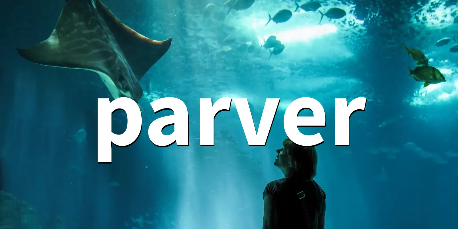 /pkg/p/parver/parver-banner.webp