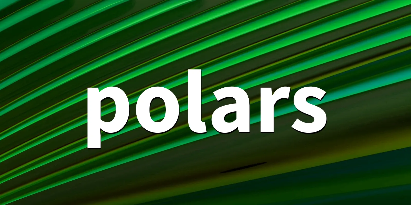 /pkg/p/polars/polars-banner.webp