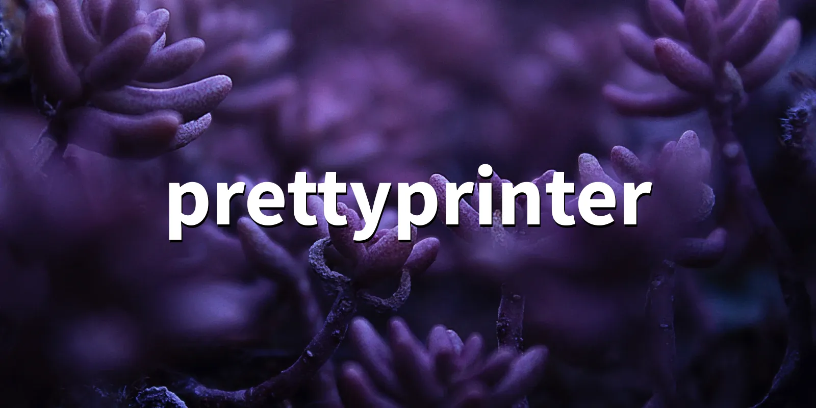 /pkg/p/prettyprinter/prettyprinter-banner.webp