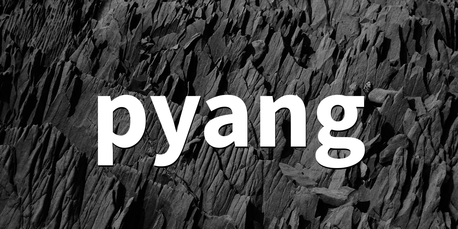 /pkg/p/pyang/pyang-banner.webp