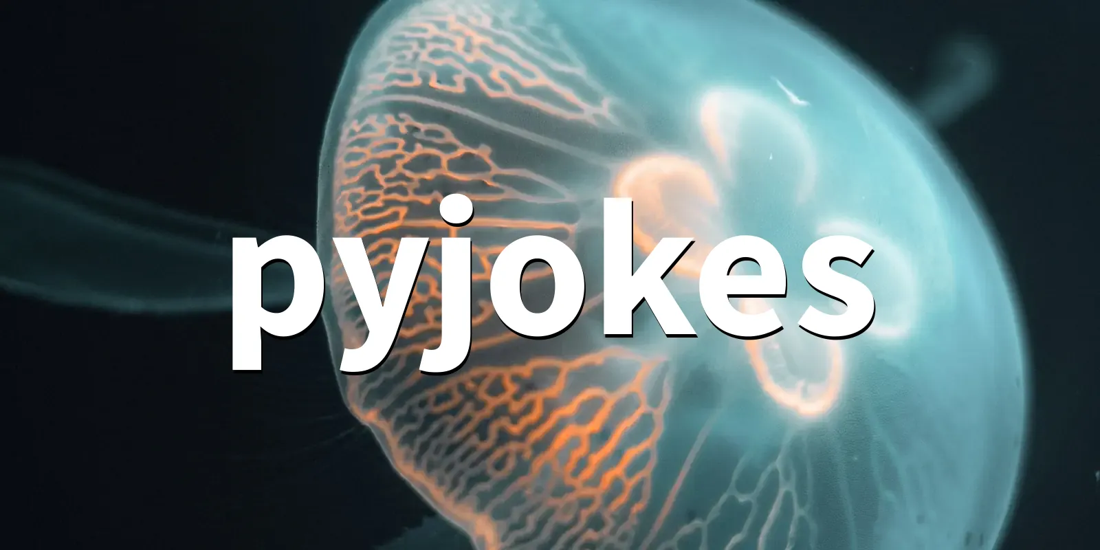 /pkg/p/pyjokes/pyjokes-banner.webp