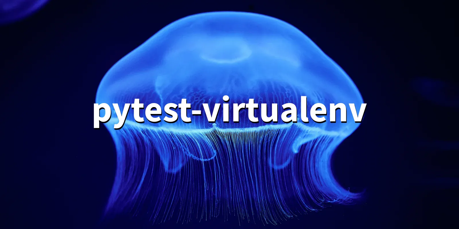 /pkg/p/pytest-virtualenv/pytest-virtualenv-banner.webp