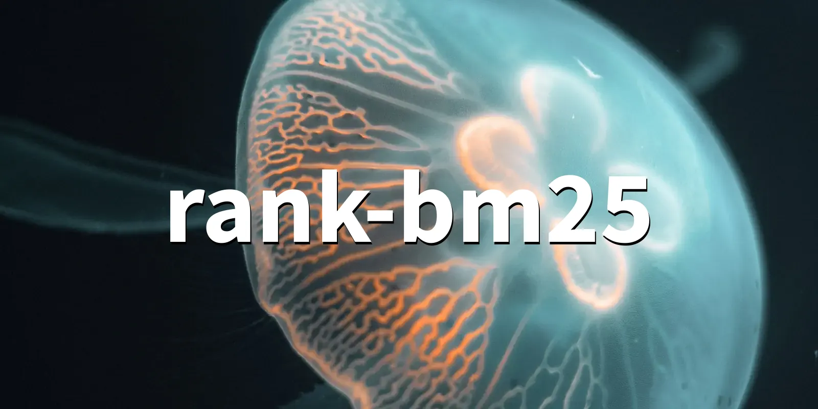 /pkg/r/rank-bm25/rank-bm25-banner.webp