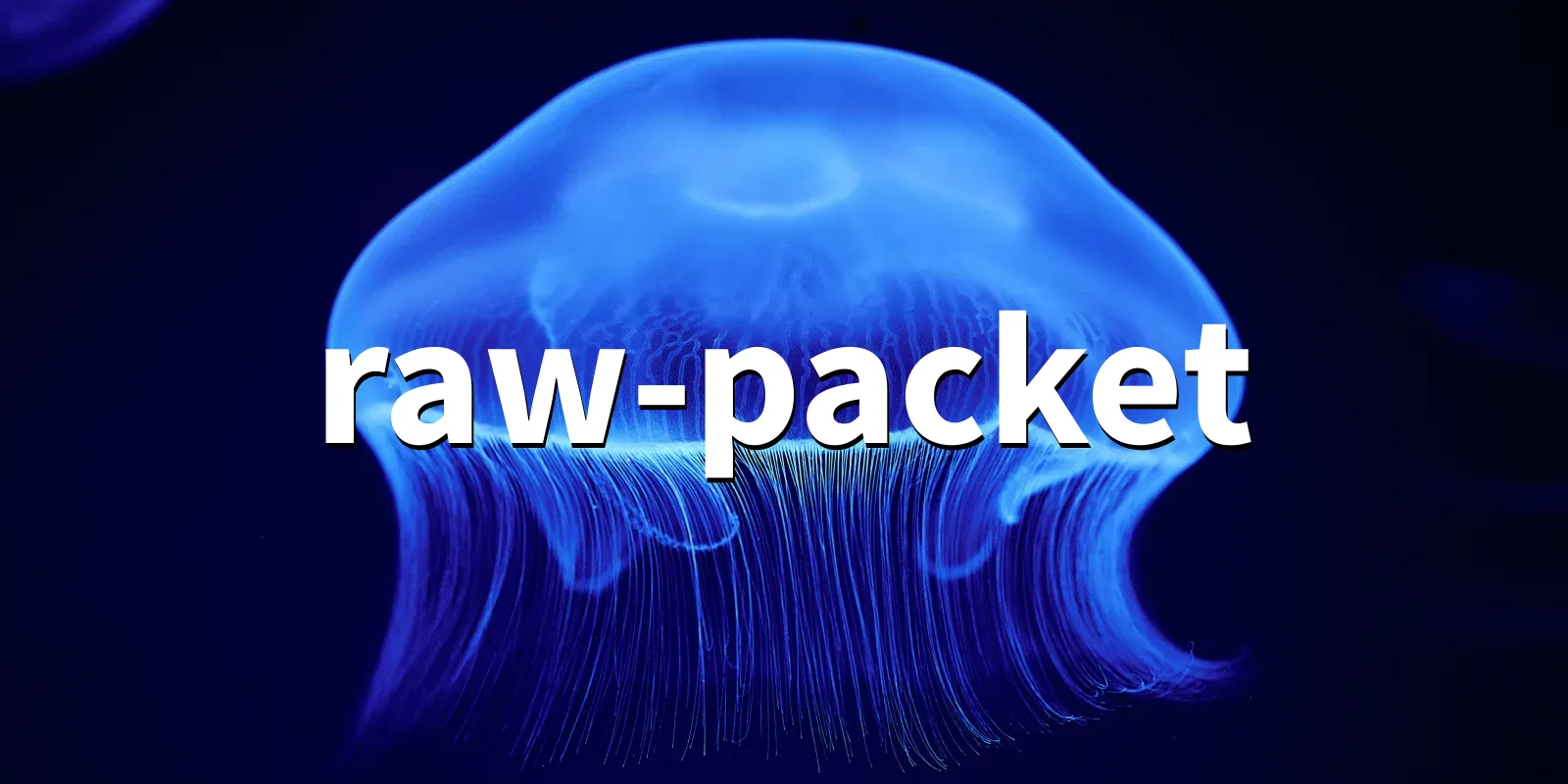 /pkg/r/raw-packet/raw-packet-banner.webp