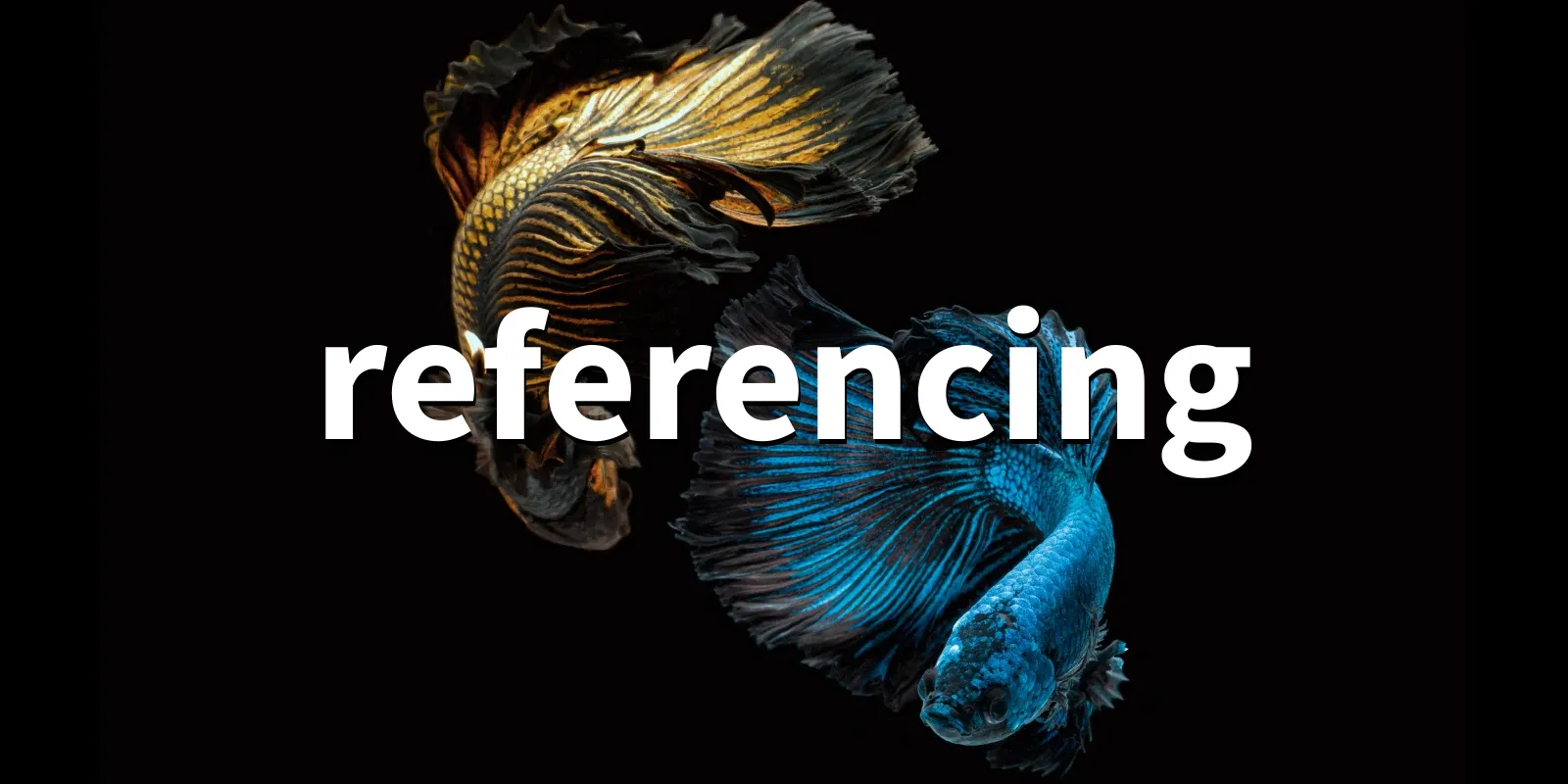 JSON Referencing + Python /pkg/r/referencing/referencing-banner.webp