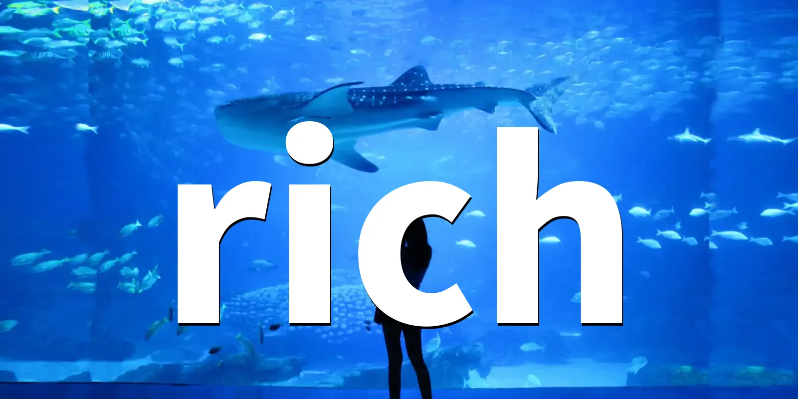 /pkg/r/rich/rich-banner.webp