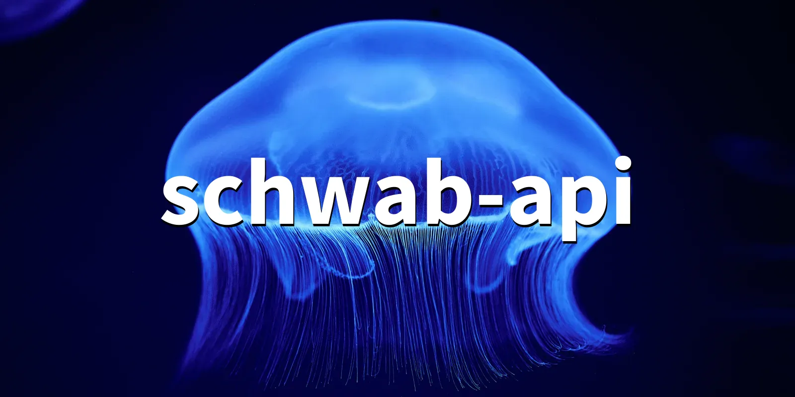 /pkg/s/schwab-api/schwab-api-banner.webp