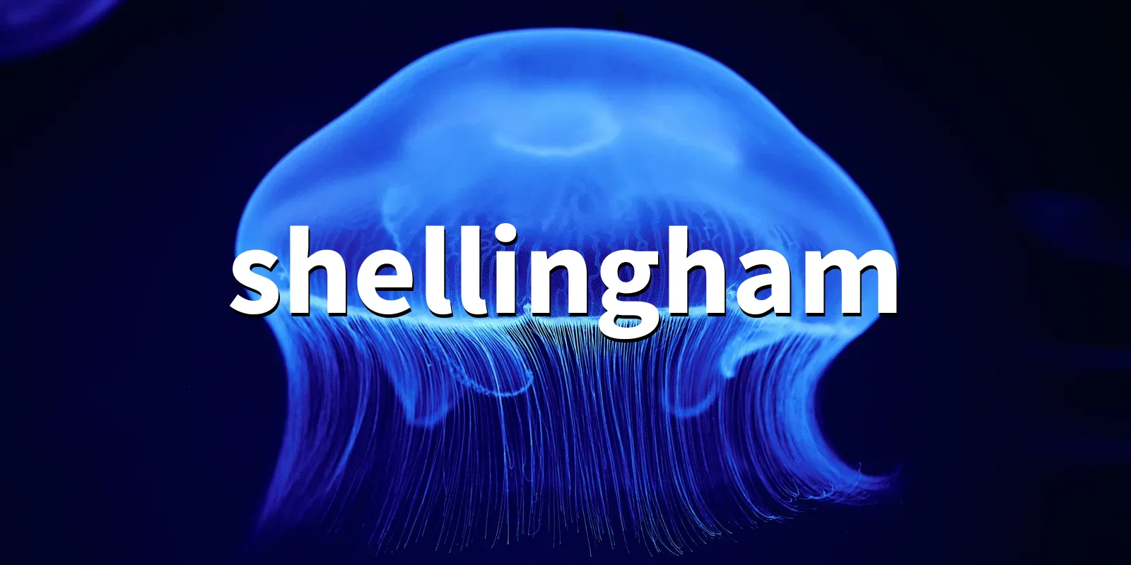 /pkg/s/shellingham/shellingham-banner.webp