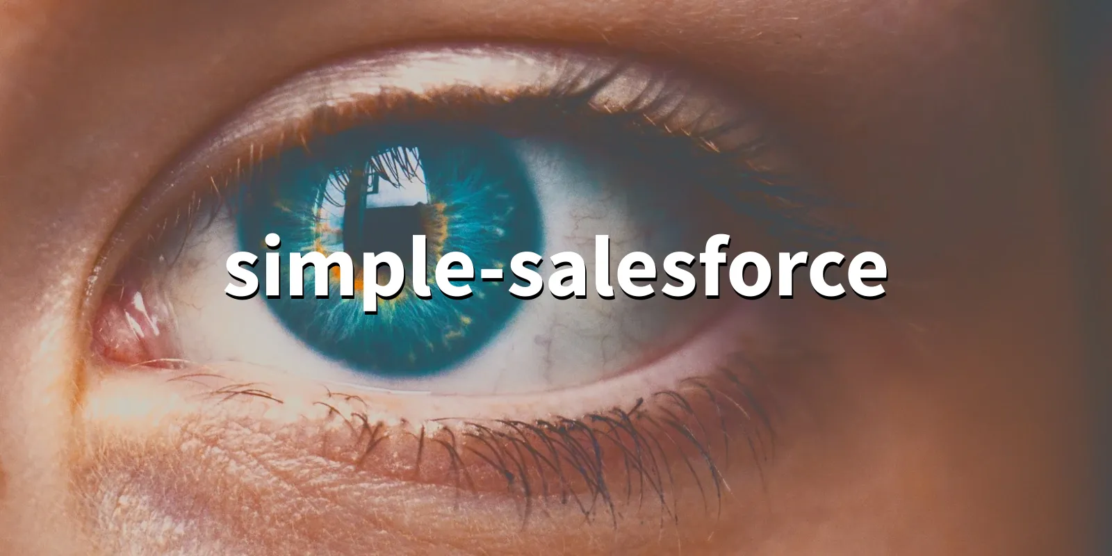 /pkg/s/simple-salesforce/simple-salesforce-banner.webp