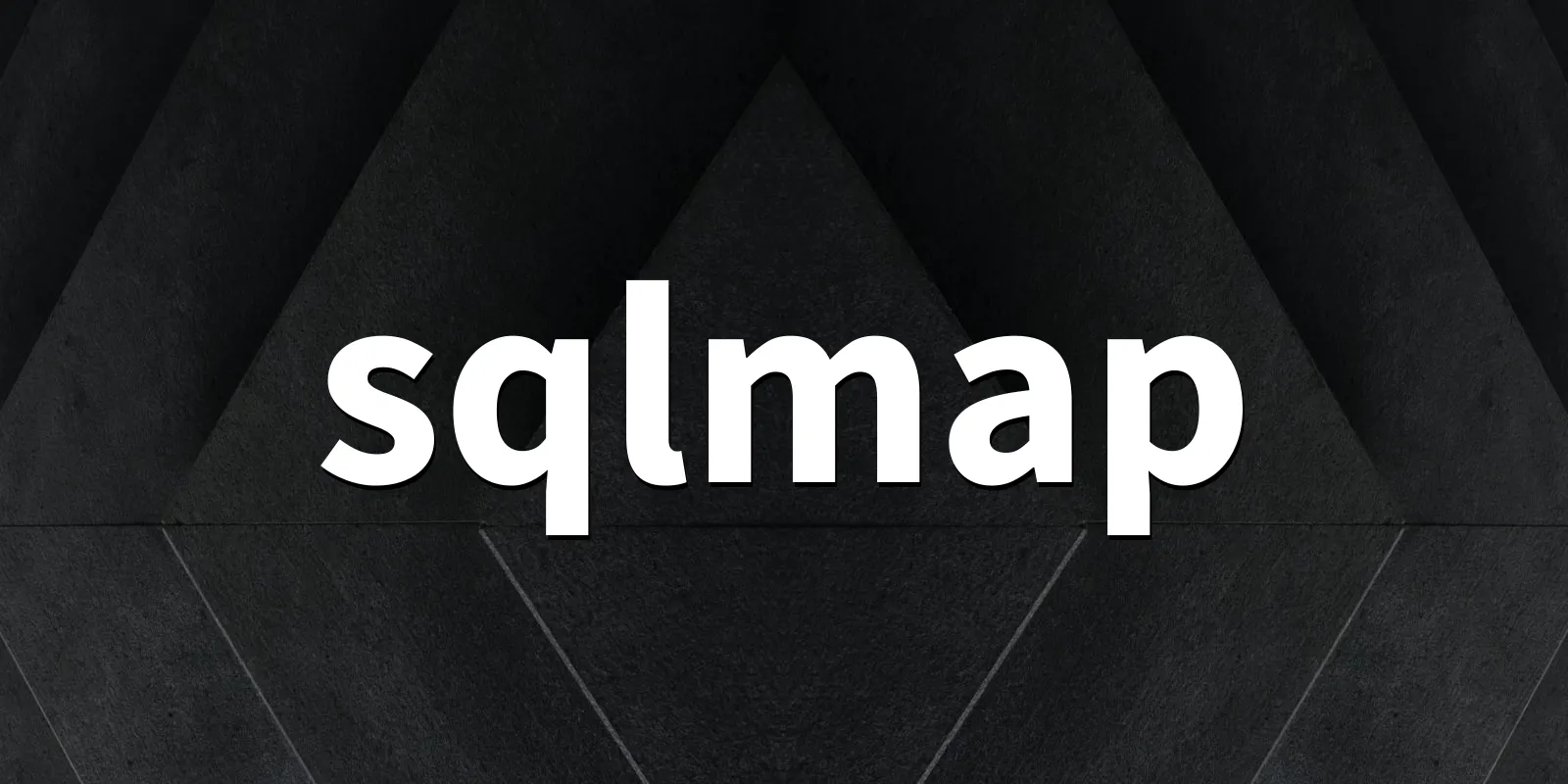 /pkg/s/sqlmap/sqlmap-banner.webp