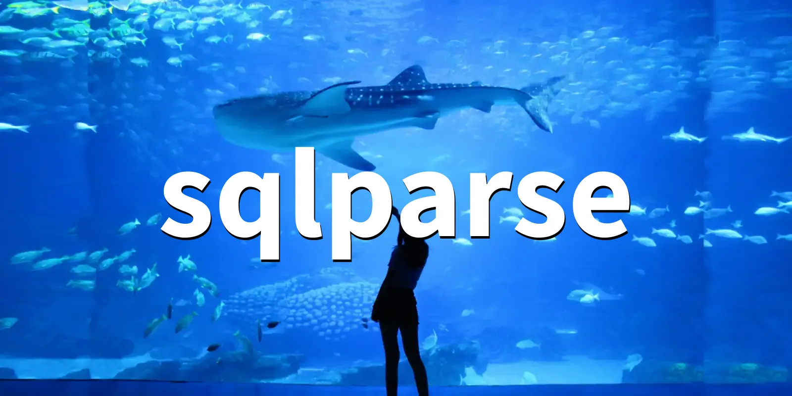 /pkg/s/sqlparse/sqlparse-banner.webp