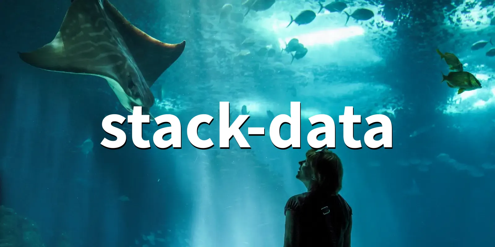 /pkg/s/stack-data/stack-data-banner.webp