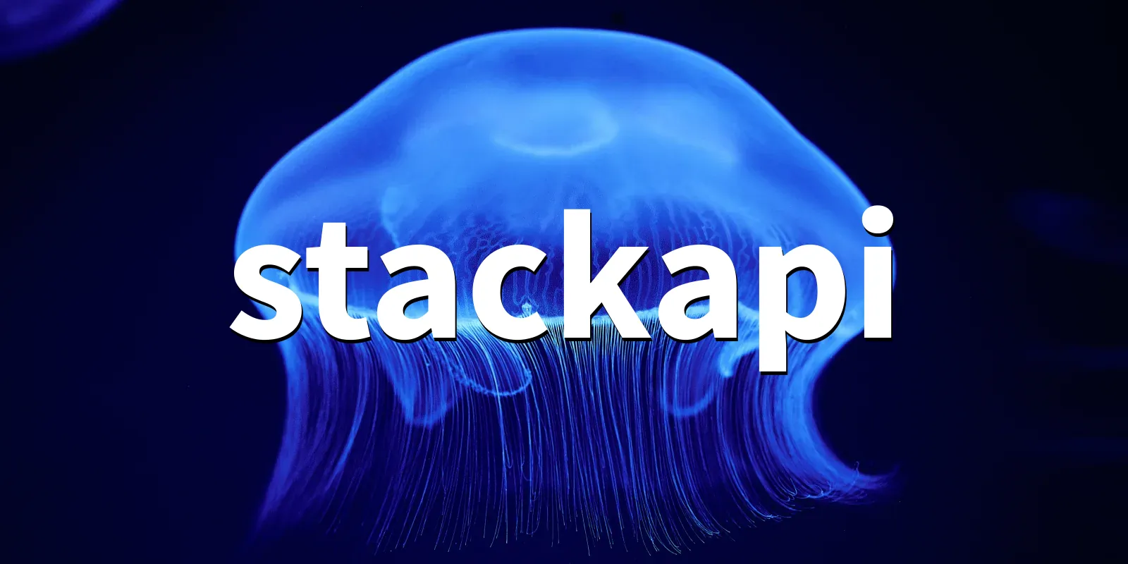 /pkg/s/stackapi/stackapi-banner.webp