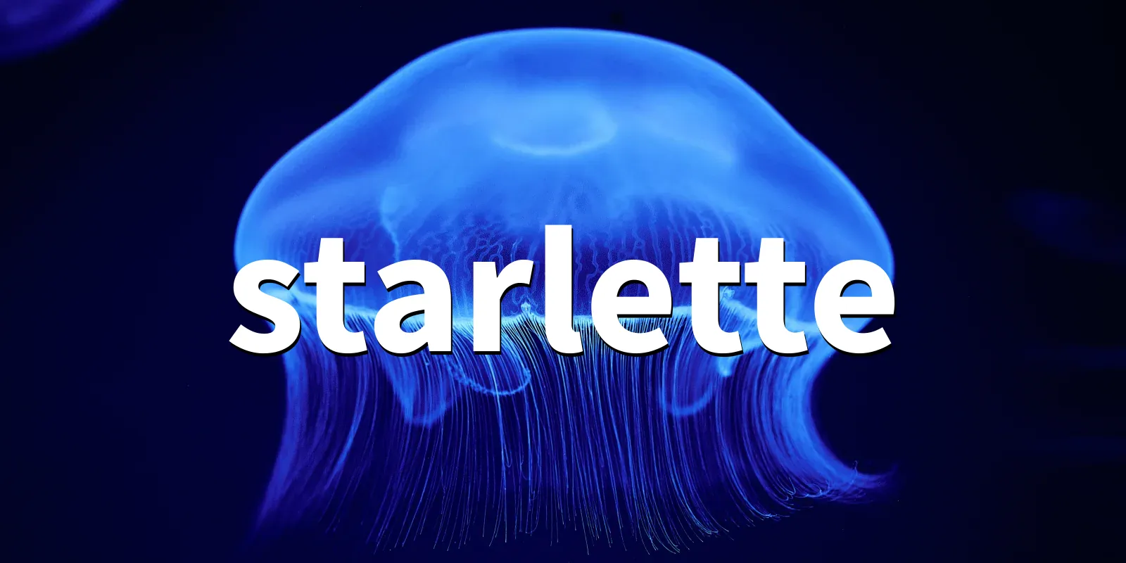 /pkg/s/starlette/starlette-banner.webp