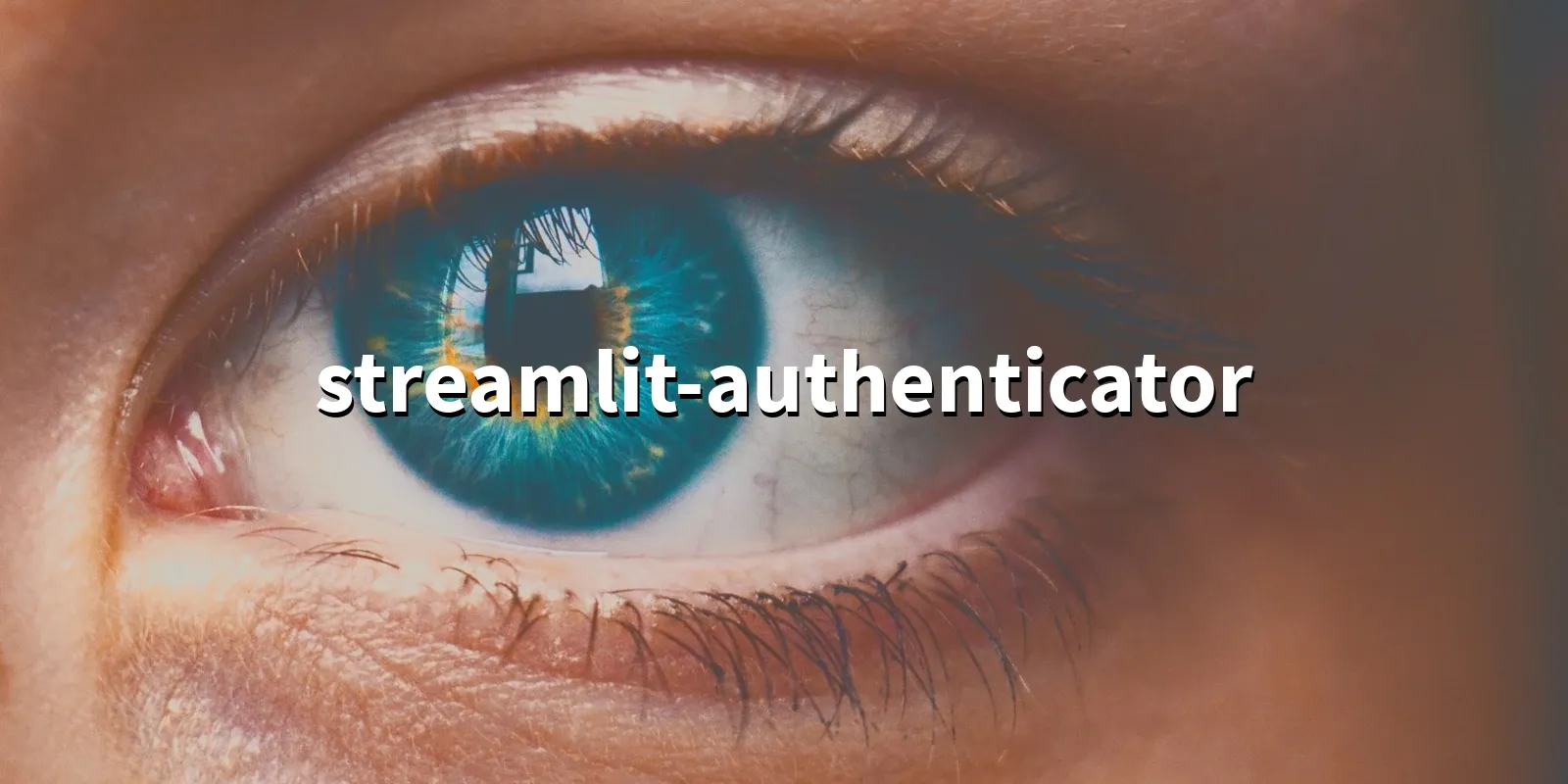 /pkg/s/streamlit-authenticator/streamlit-authenticator-banner.webp
