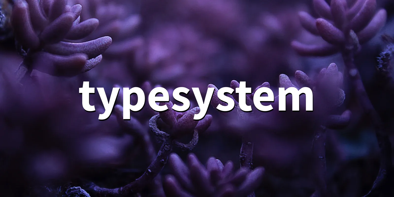 /pkg/t/typesystem/typesystem-banner.webp