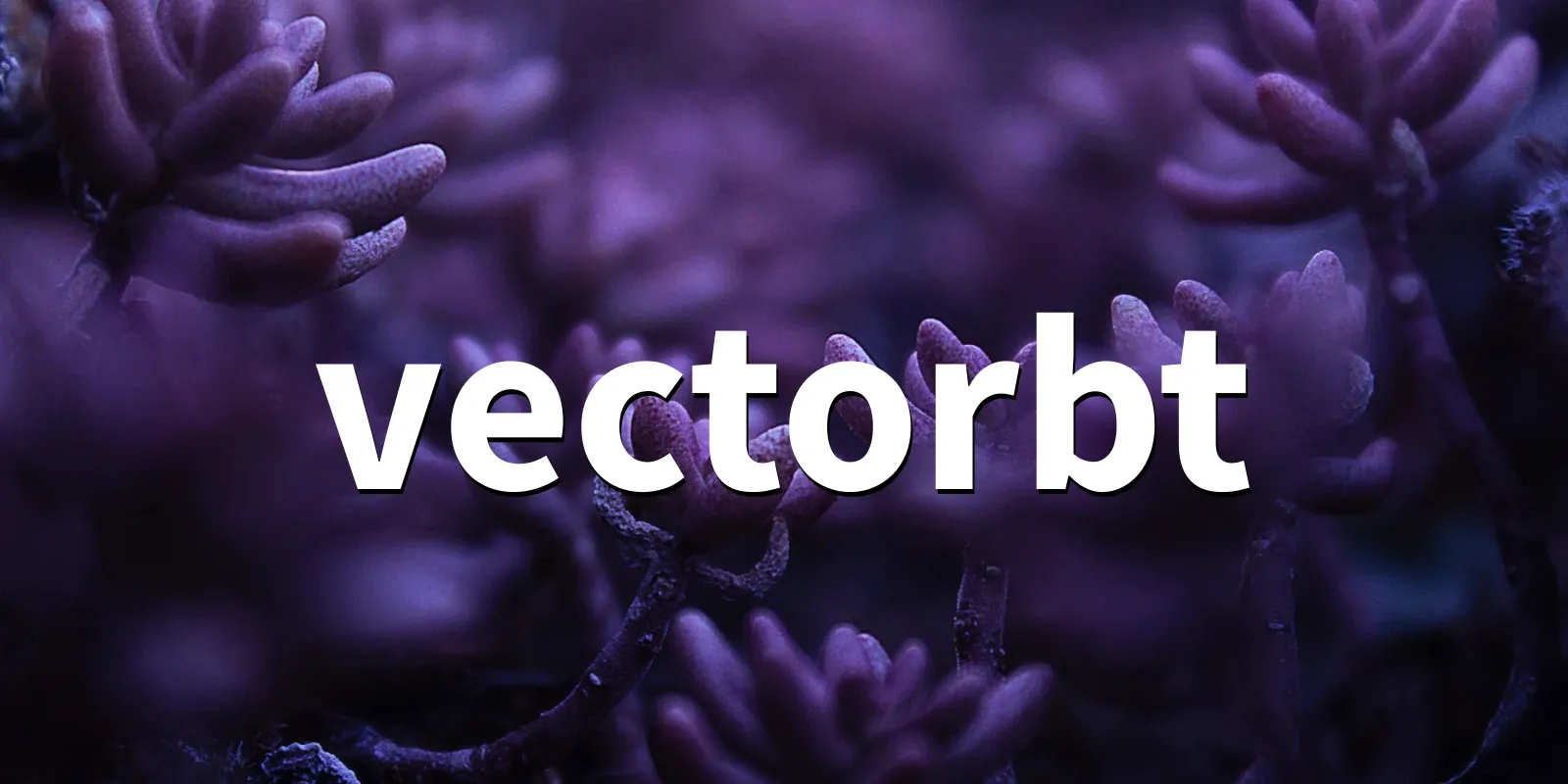 /pkg/v/vectorbt/vectorbt-banner.webp