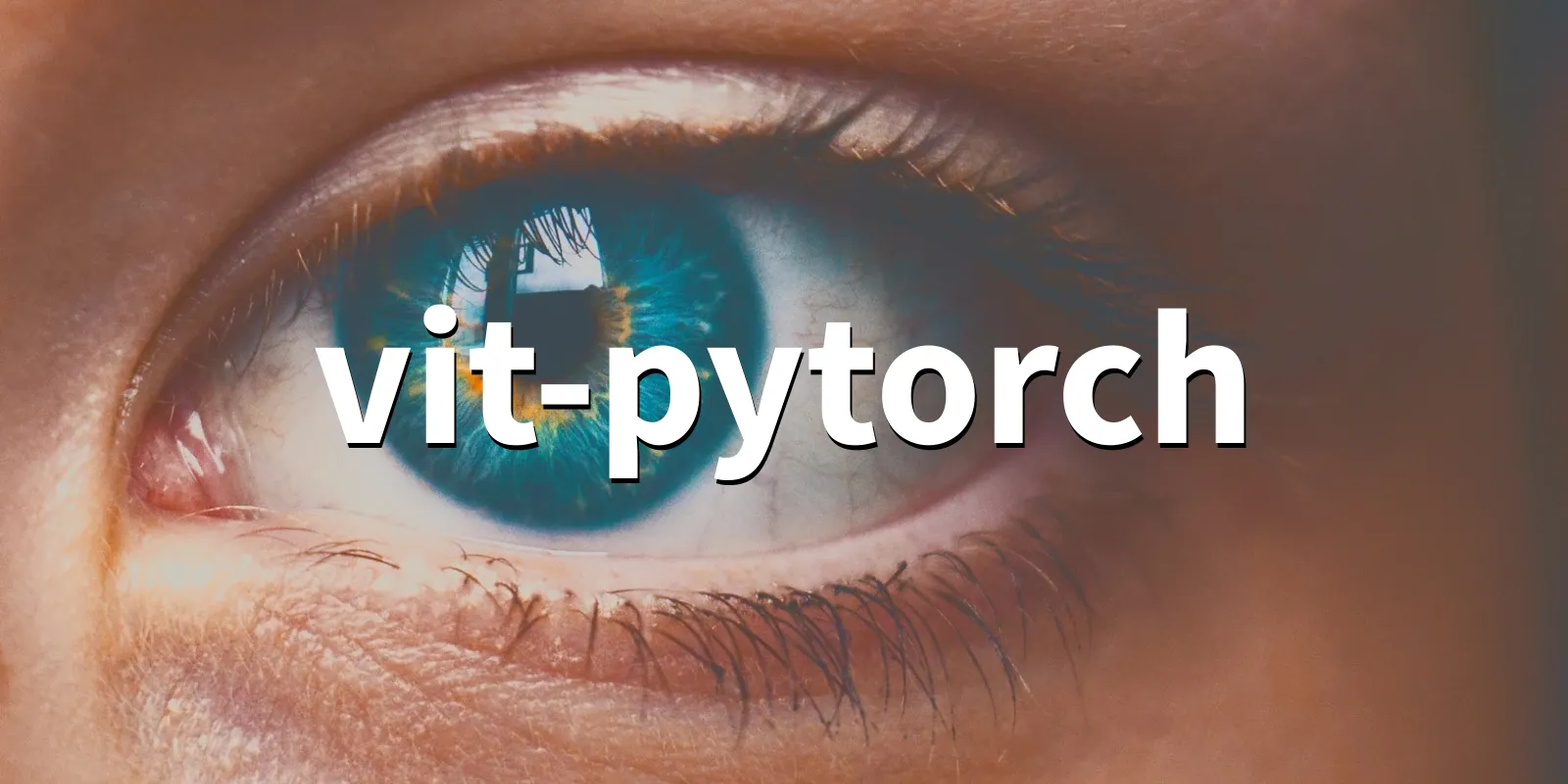 /pkg/v/vit-pytorch/vit-pytorch-banner.webp