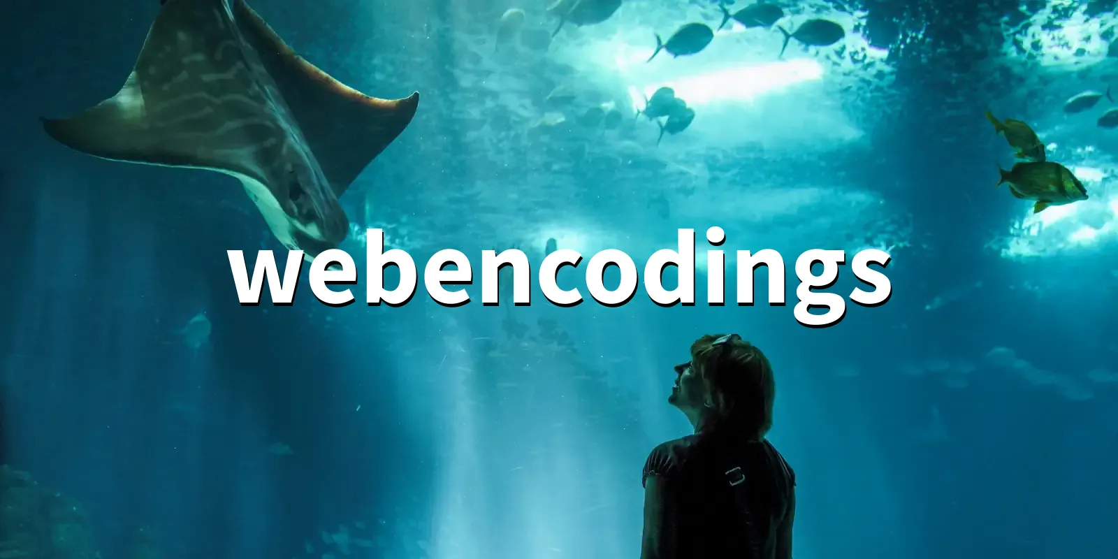 /pkg/w/webencodings/webencodings-banner.webp