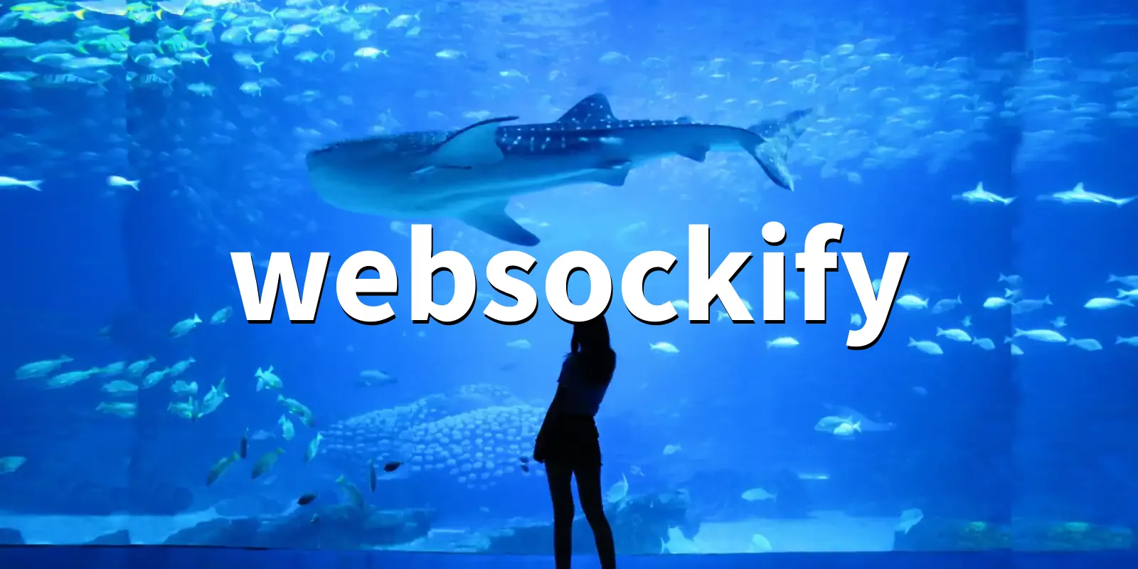 /pkg/w/websockify/websockify-banner.webp