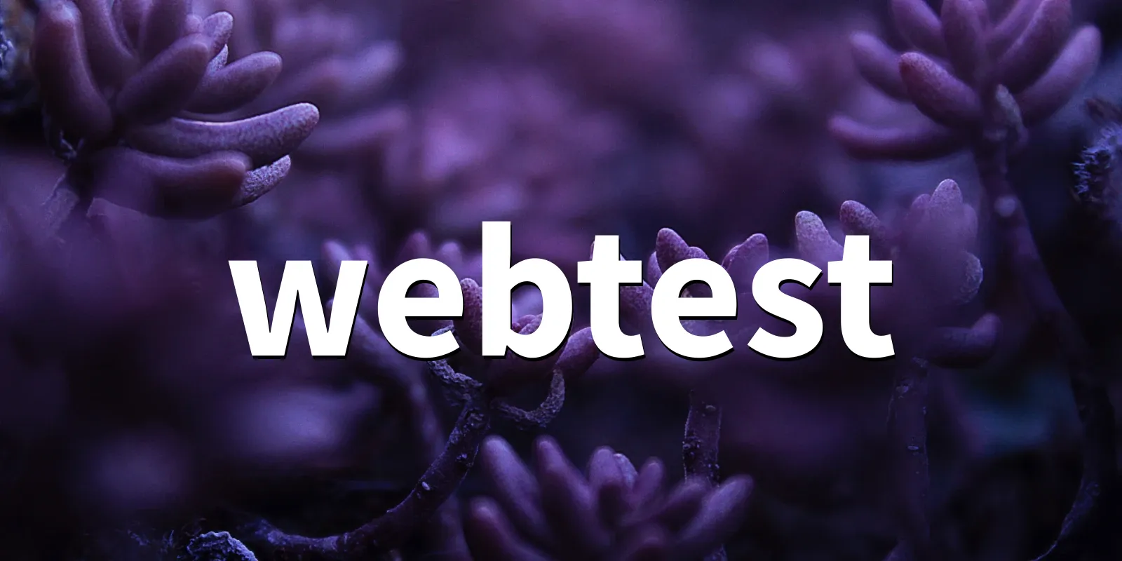 /pkg/w/webtest/webtest-banner.webp